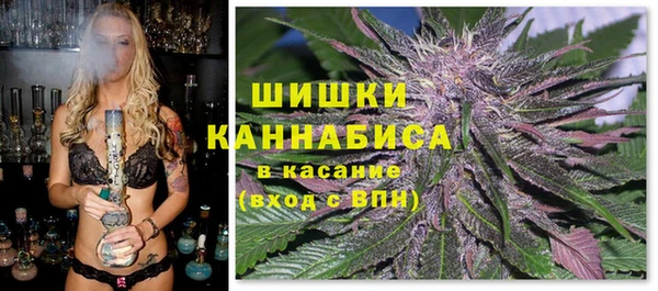 гидра Киреевск