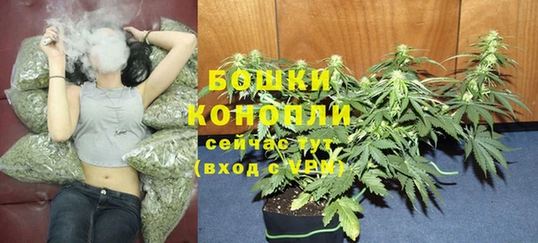 винт Касимов