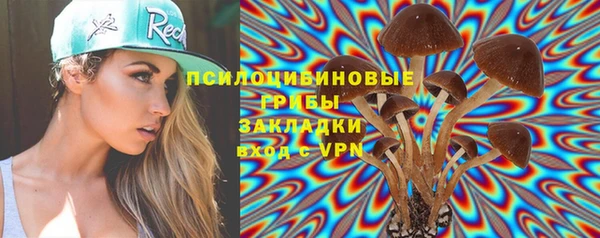 винт Касимов