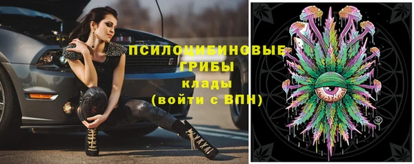 винт Касимов