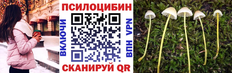Купить где  Ворсма  Псилоцибиновые грибы Cubensis 